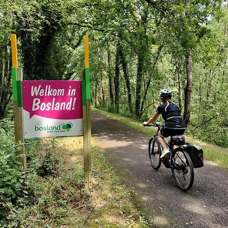 Bosrand81 Apartment Hechtel-Eksel Bagian luar foto